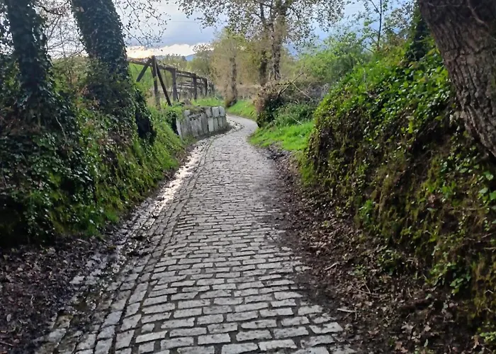 Cesuresrooms2 * Pontecesures